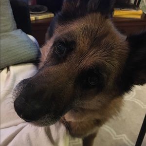 Meet your Posher, Mindy